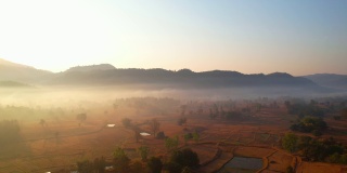 无人机俯瞰农田上雾蒙蒙的景象。4 k