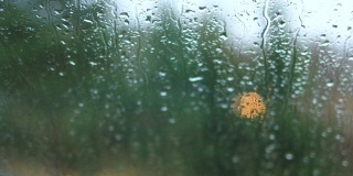 雨后湿窗高清视频