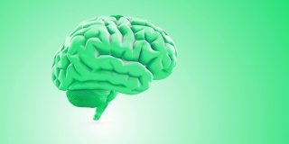 人脑的3D动画