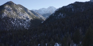 鸟瞰冰雪覆盖的森林和山脉，冬季与定音鼓哥斯山的景色