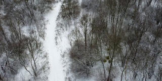 林间小路，鸟瞰白雪