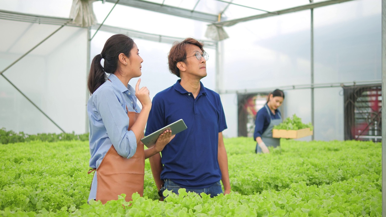亚洲农民用药片检查水培农场的有机蔬菜的安全性
