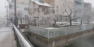 东京降雪区2022
