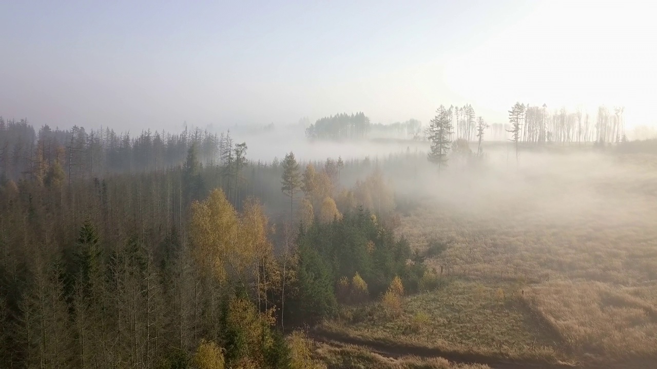鸟瞰图的秋季乡村，传统的秋季景观在中欧