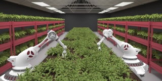 现代有机农场与机械臂-三维渲染。种植未来的蔬菜。