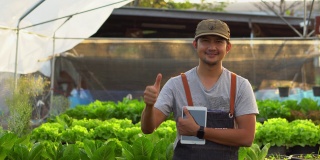 亚洲的有机农民拥有一个蔬菜农场，他们用一片药片来监测温度控制，并记录农场的叶子生长质量。小企业创业理念。