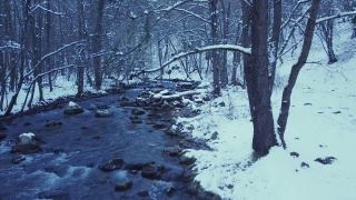 河流在冬雪中流淌视频素材模板下载