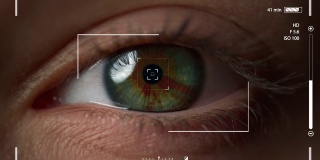 宏眼识别系统检查用户视网膜拍摄镜头验证
