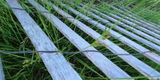 旧篱笆，木头和铁丝，用旧木板和绿草做成。乡村农场农场在村庄摄像机的视角。阳光明媚的夏天的一天。慢动作摄影小车镜头，4k。
