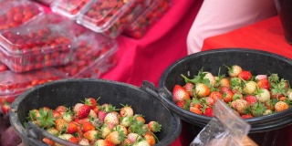 露天食品市场出售的草莓。有机新鲜的草莓