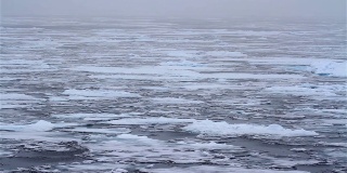 北极海冰景观，北冰洋，斯瓦尔巴特群岛