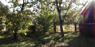 村里院子里的花园里有一间旧木棚。