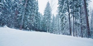 快速滑雪下坡。在冬季森林中沿着滑雪道移动的摄像机的视角