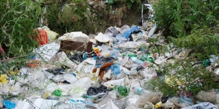 路边堆放的垃圾严重污染环境。印度。