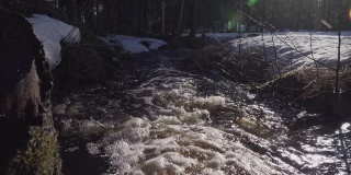 森林小溪的下游融雪水穿过斯堪的纳维亚森林。阳光明媚的春天。长时间曝光，使水流顺畅。瑞典，欧洲，原声流水