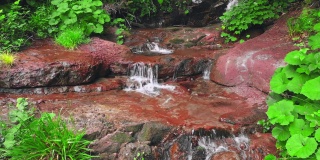 清澈的泉水从山间小溪中缓缓流下