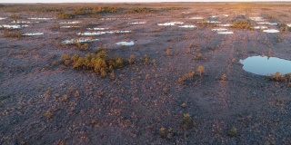 秋日清晨，在索马国家公园的龟尾沼泽，鸟瞰黑暗的沼泽湖