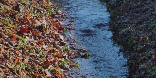 一条小溪，在秋叶和霜冻覆盖的山坡间流淌