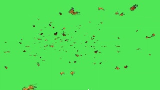 成群的蝴蝶在绿色屏幕上飞舞视频素材模板下载
