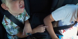 小男孩在一辆车的后座上戳了戳哥哥，并伸出舌头。哥哥不理他。
