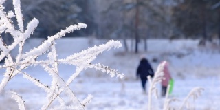 冬天的场景，令人惊叹的冰冻的自然，人们在雪中行走在美好的冬日。