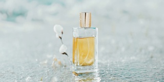 在一个结霜的池塘里，一个装着金色香水的长方形玻璃瓶伫立在白雪皑皑的树枝旁。香水和香水模板