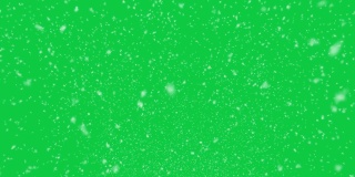4K逼真的降雪，宽镜头，缓慢和高度，密集，Alpha Prores背景循环，透明，只是拖放在你的时间轴，冬天，圣诞节，新年，暴雪，暴风雪库存视频-(绿色屏幕的Chroma键控)