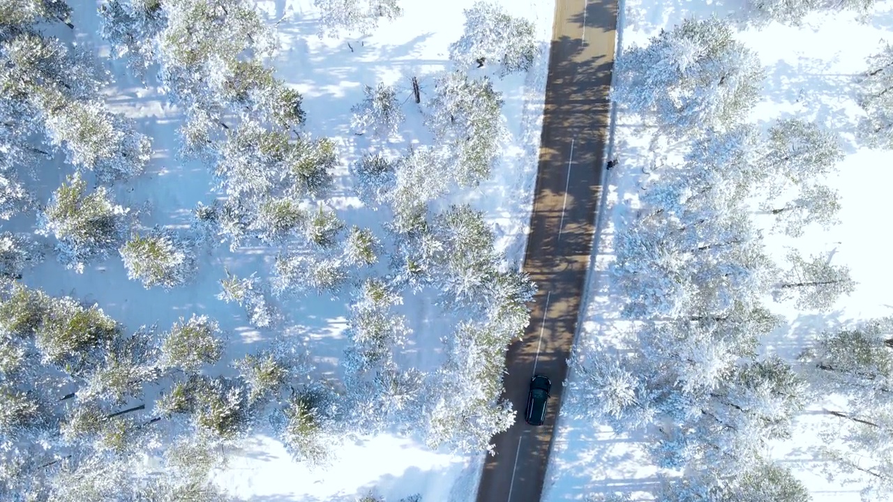 在冬天，汽车行驶在穿越森林的高速公路上