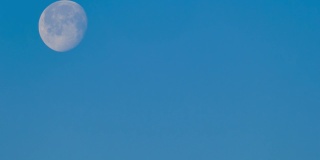 白天又大又圆的月亮在蓝天上，时间在流逝