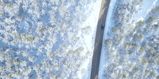 冬天独自驾车行驶在森林里的高速公路上