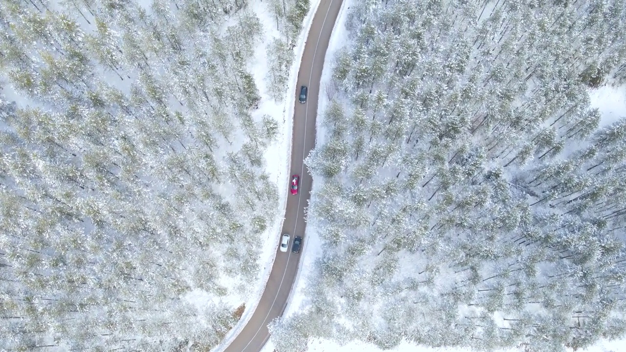 汽车行驶在通往森林的雪路上