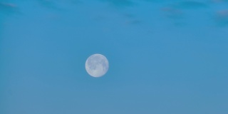 蓝蓝的晨光里又圆又大的月亮，时间流逝