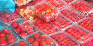 农贸市场的柜台上出售塑料盒装的新鲜有机草莓