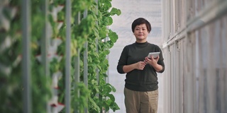 快乐的亚洲中国妇女看着镜头微笑在蔬菜植物在温室水培垂直农场生态系统