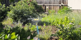 灌溉系统采用纺丝技术用于花园清新，夏季后院洒水喷灌