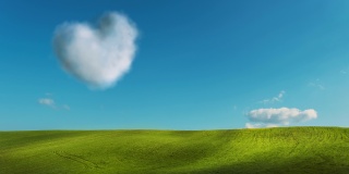 草地和天空背景的镜头，在农田里有一棵跳动的心脏形状的树