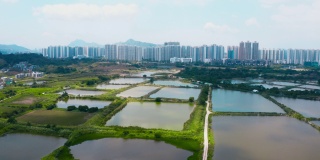 高角度拍摄香港养鱼和农田