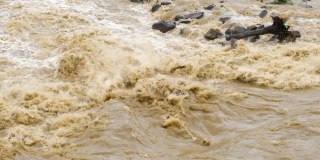 春季暴雨期间，浑河汛期出现脏水