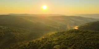 在明亮的夏日夕阳下，黑暗的树林上充满了生机勃勃的雾霭。黄昏时分野生森林的奇妙景色