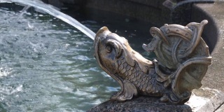 喷泉里的水变成了一条鱼。美丽的雕塑