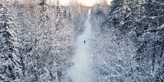 一个女人走在雪林里