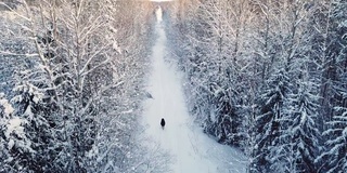 一个女人走在雪林里