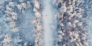 一个女人走在雪林里