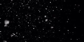 4K逼真的降雪侧向，侧向，快速强，近镜头，Alpha Prores背景循环，透明，只是拖放在你的时间轴上，冬天，圣诞节，新年，暴雪，暴风雪
