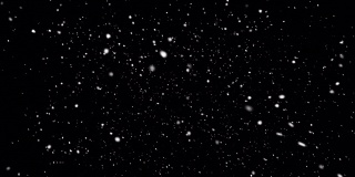 4K逼真的降雪，横向，横向，慢动作，中间镜头，Alpha Prores背景循环，透明，只是拖放在你的时间轴上，冬天，圣诞节，新年，暴雪，暴风雪，摄像机角度向上