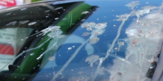 汽车挡风玻璃清洗机，鸟瞰一辆车被鸟弄坏了