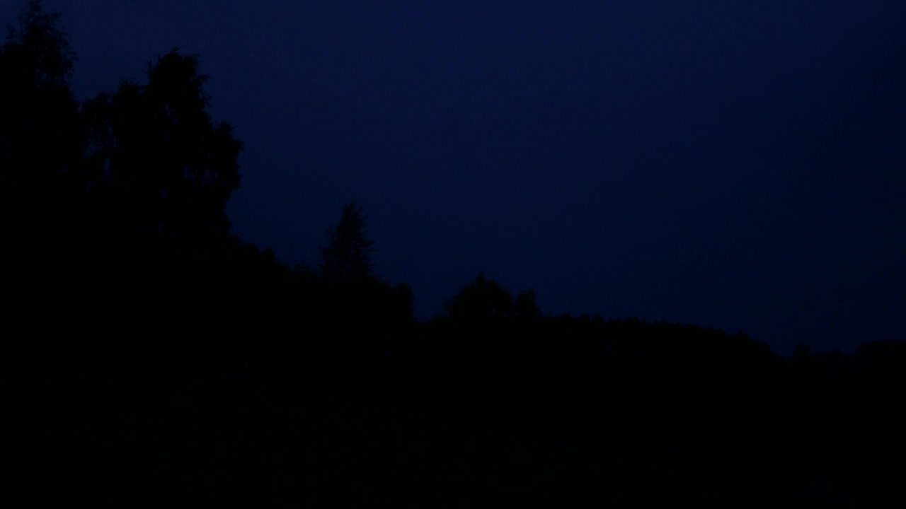 夜间落叶林上空的闪电