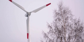 螺旋桨式风力涡轮机一动不动地停在树后