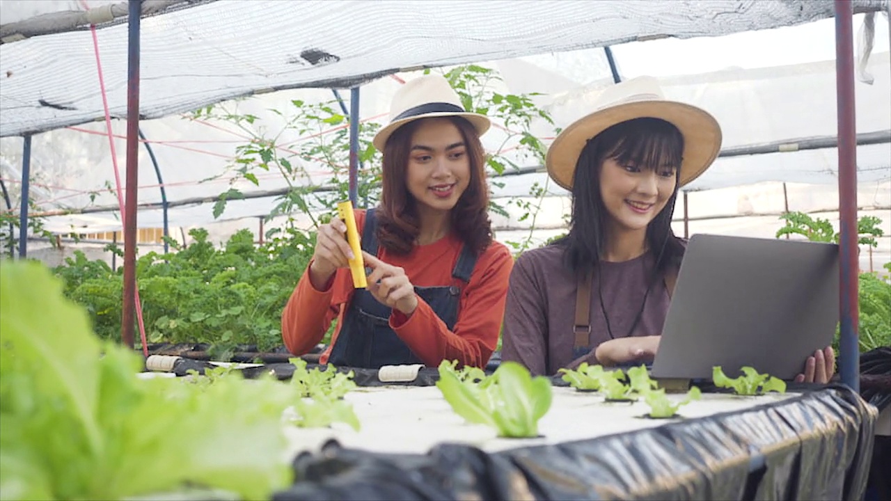 女园丁拿着笔记本电脑检查地里的蔬菜。田里的蔬菜。一名女园丁在农场使用水质仪。检查水培系统水箱的EC值