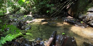 哥斯达黎加丛林中的小溪、河流和瀑布